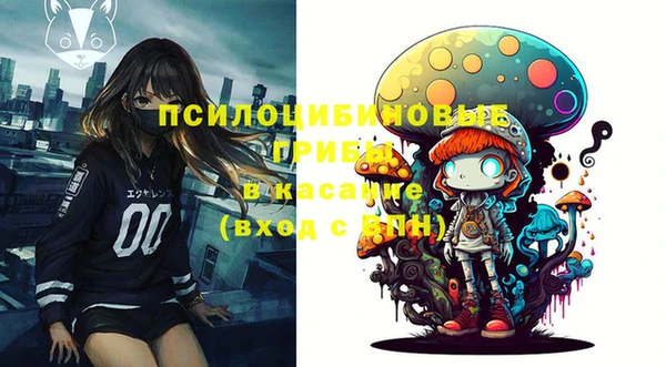 СК Алексеевка